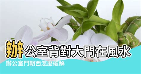 辦公室風水禁忌|辦公室風水禁忌有哪些？風水關乎工作運，植物擺錯恐。